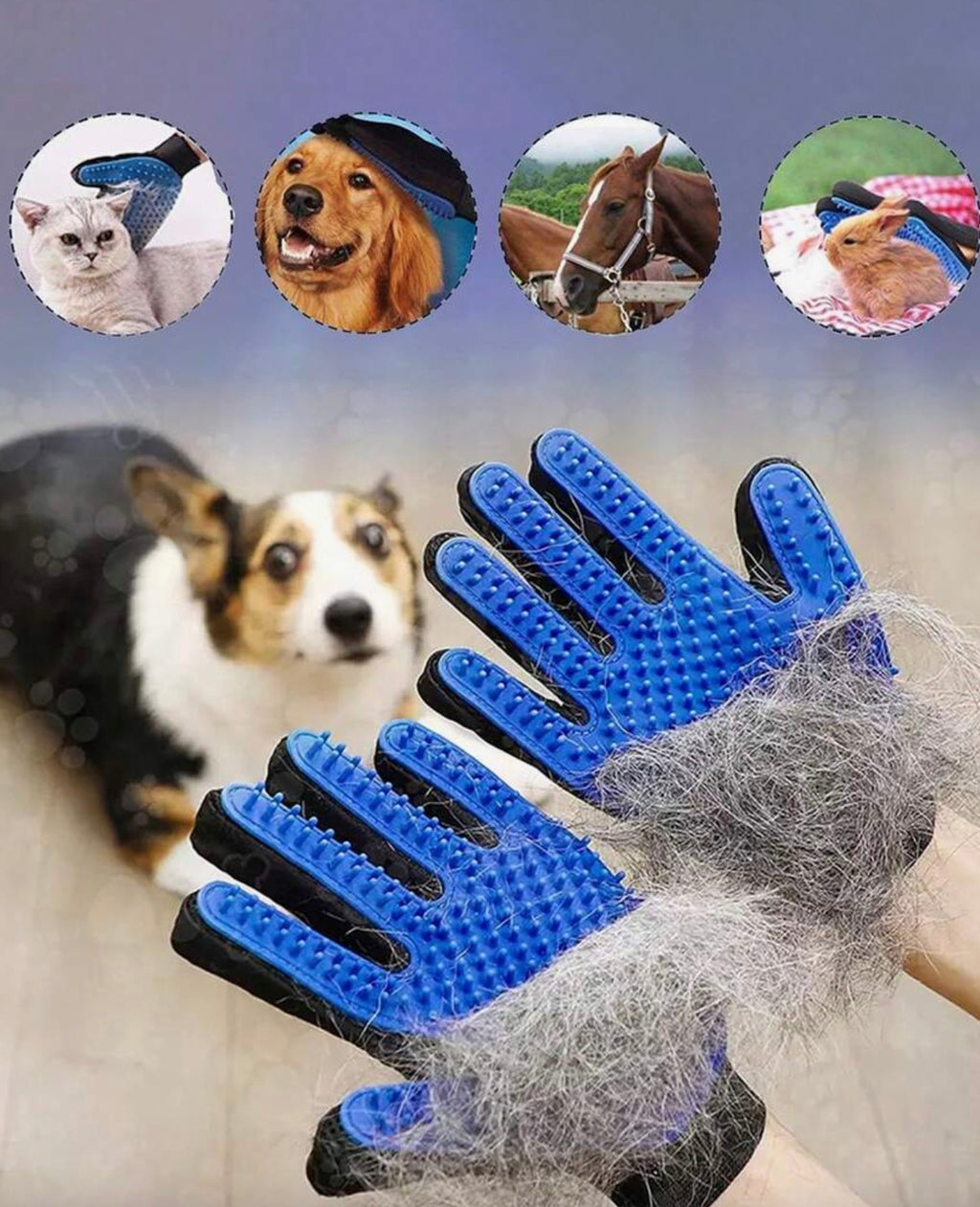 Pet Groom Combo (Special)