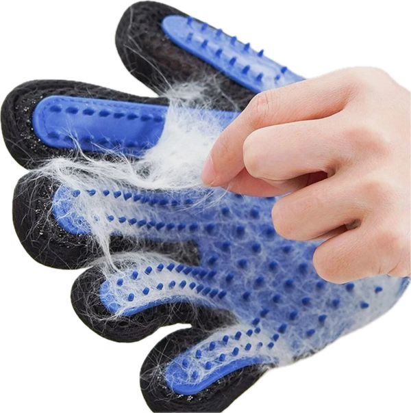 Pet Groom Combo (Special)